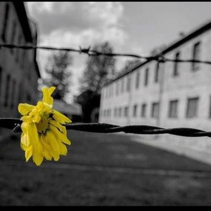 27 gennaio, giornata della memoria 27 gennaio, giornata della memoria