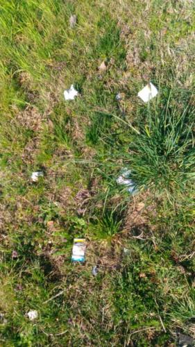 TrashChallenge-Puliamo-LodiVecchio-9